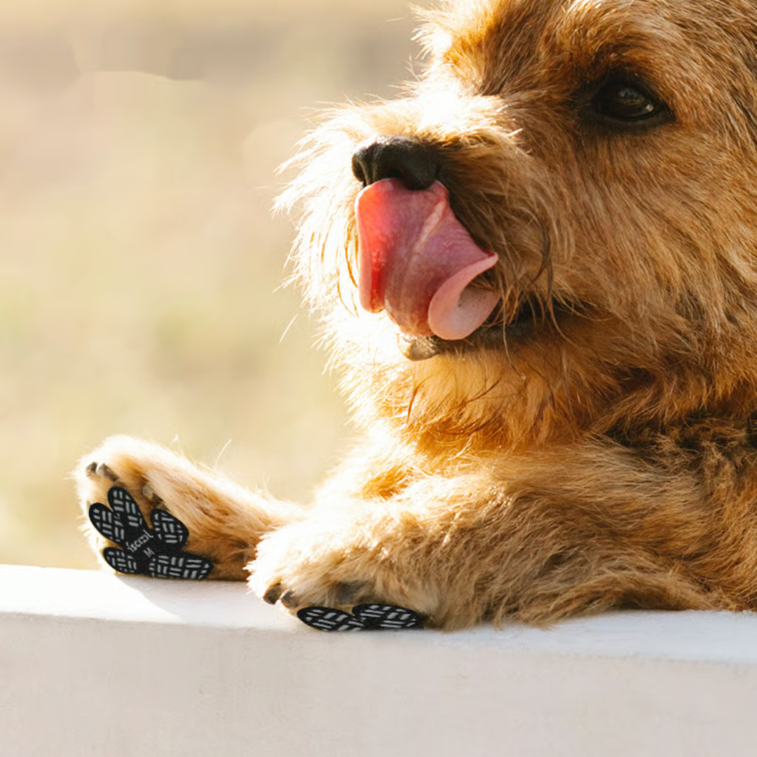 PawCare™ Almohadillas Antideslizantes