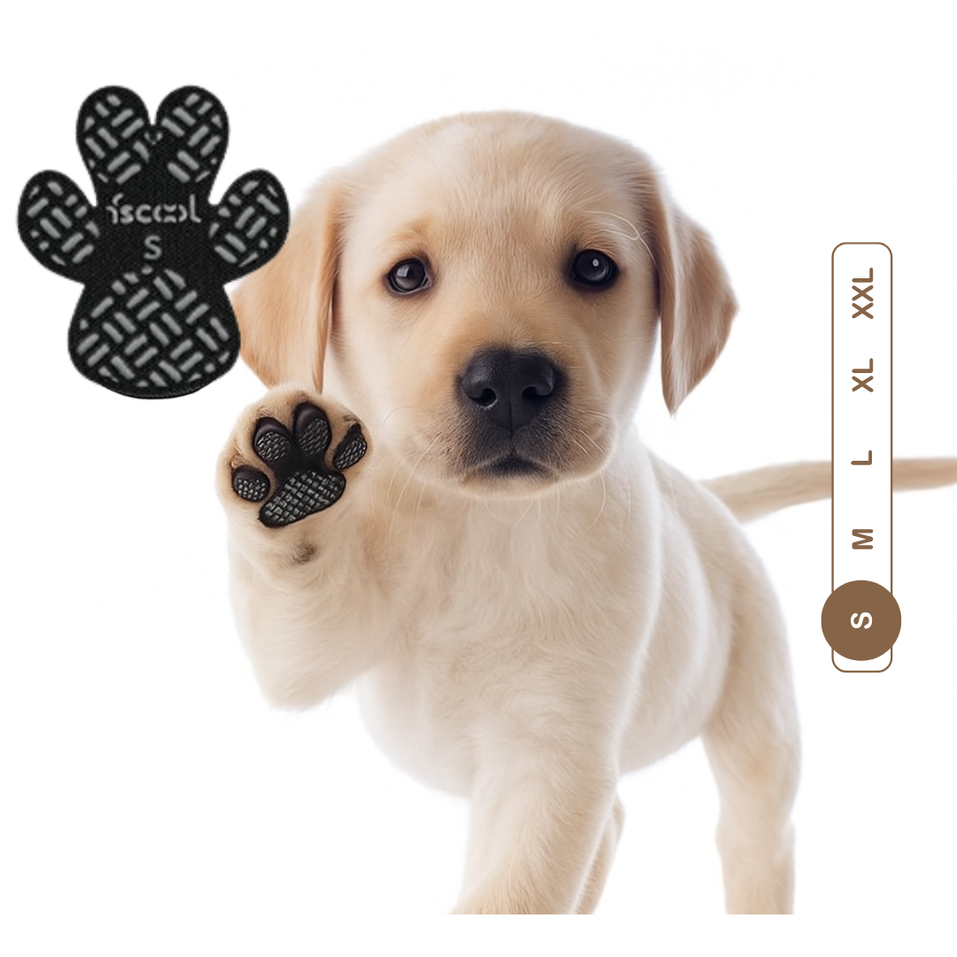 PawCare™ Almohadillas Antideslizantes
