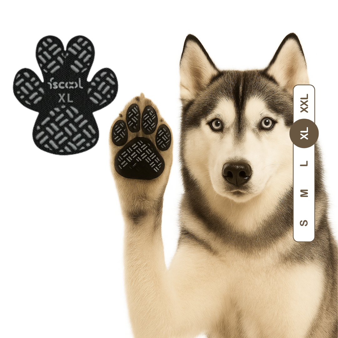 PawCare™ Almohadillas Antideslizantes