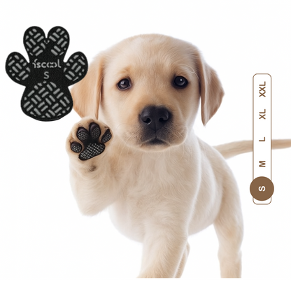 PawCare™ Almohadillas Antideslizantes